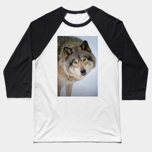 Timber Wolf Baseball T-Shirt